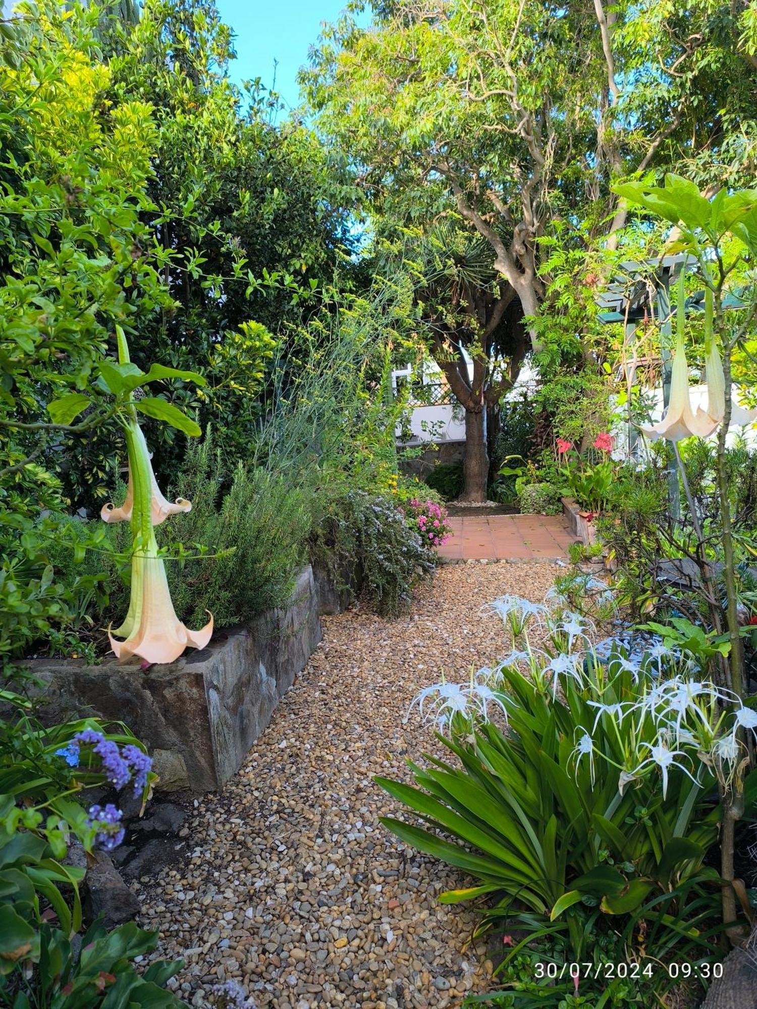 Casa Flora Garden Studio เซาซาล ภายนอก รูปภาพ