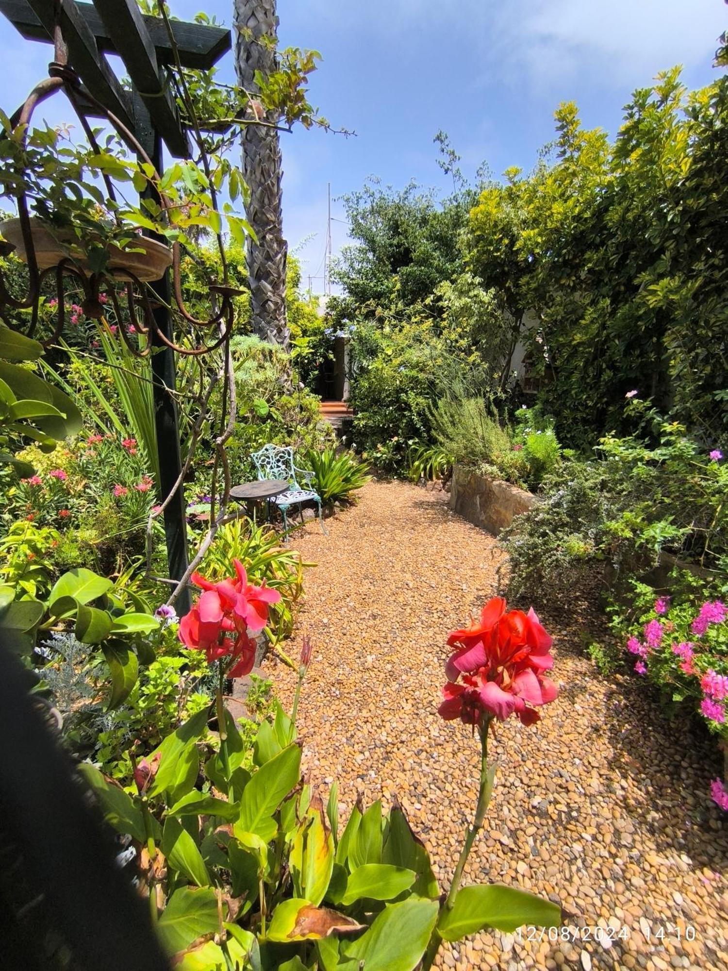Casa Flora Garden Studio เซาซาล ภายนอก รูปภาพ