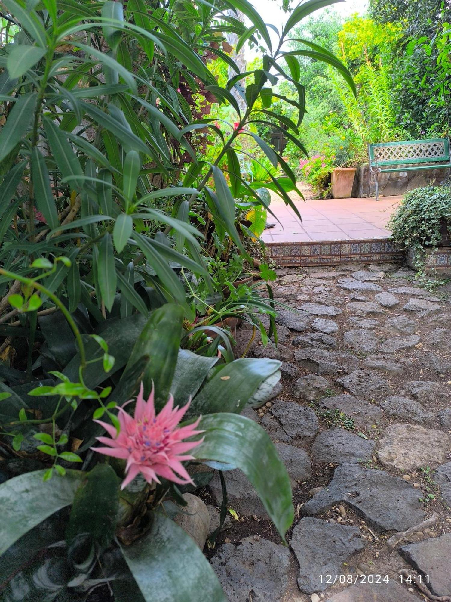 Casa Flora Garden Studio เซาซาล ภายนอก รูปภาพ